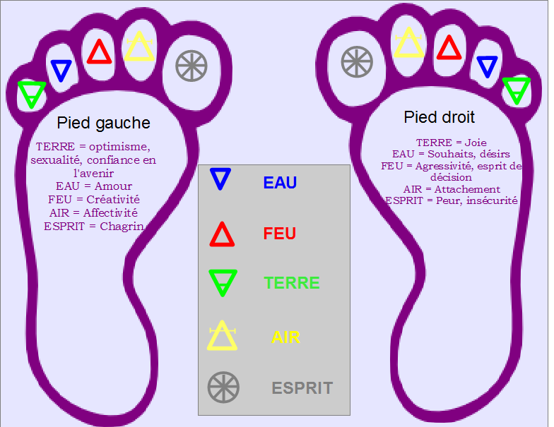 carte de lecture formes des orteils selon principe des 5 éléments : air, eau, terre, feu et esprit